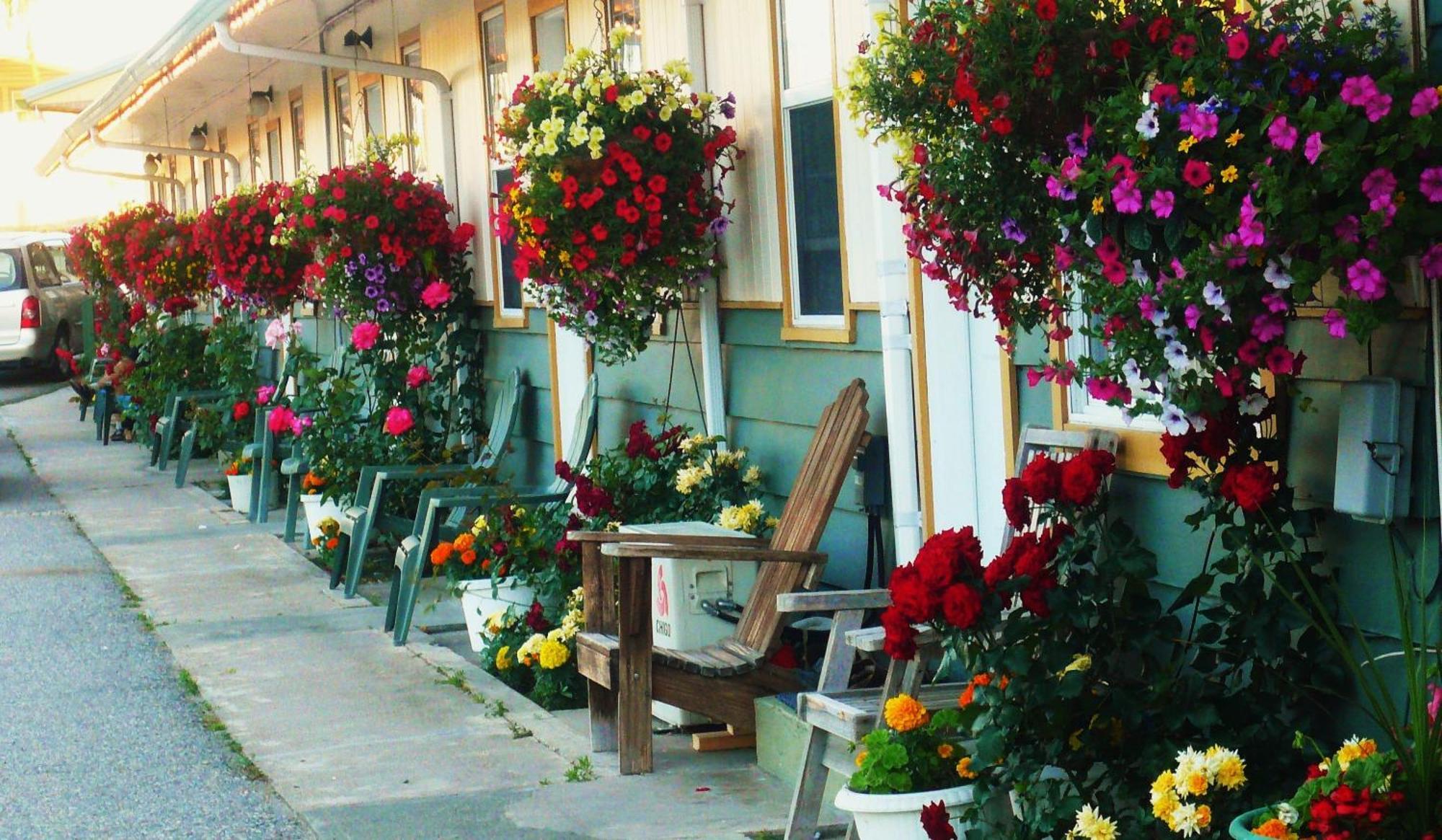 Boundary Motel Osoyoos Ngoại thất bức ảnh
